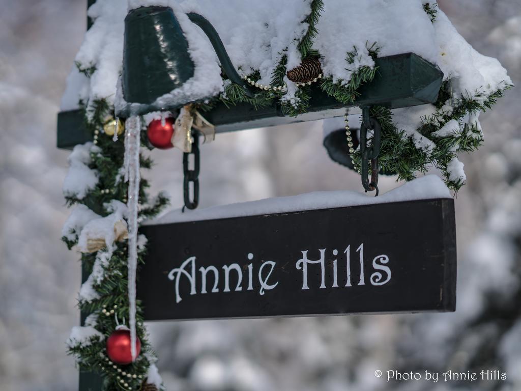 Annie Hills Panzió Tatesina Kültér fotó