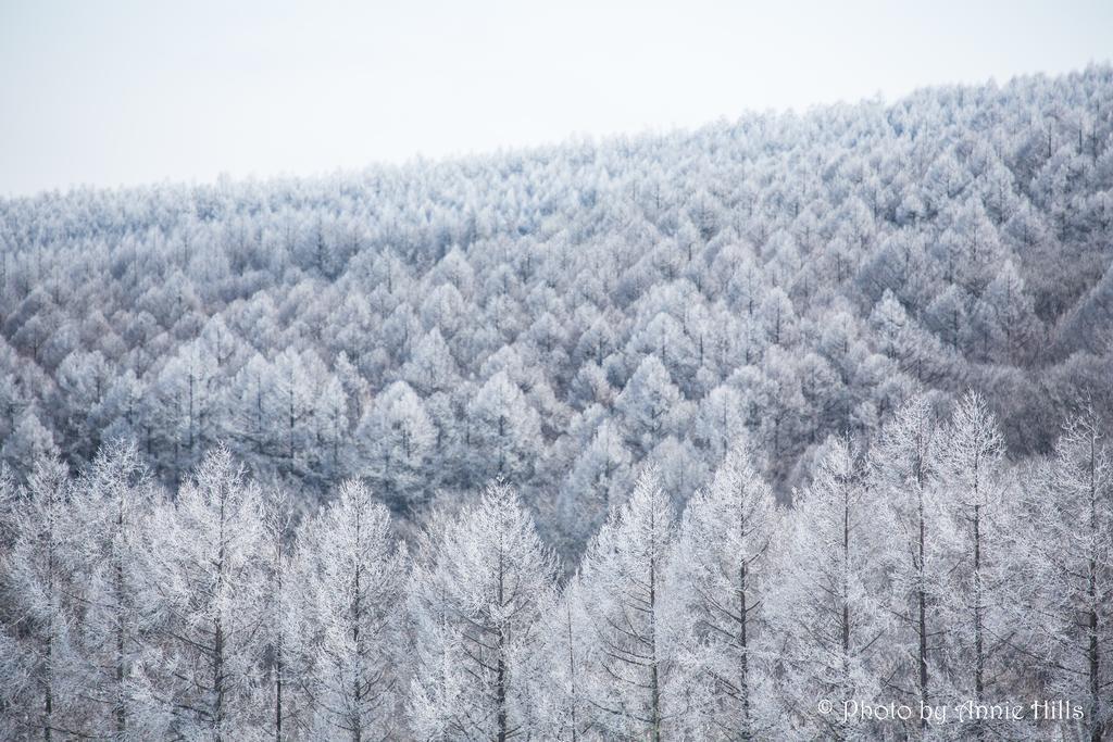 Annie Hills Panzió Tatesina Kültér fotó